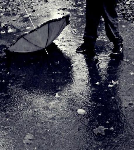 Una Fascinante colección de fotografía de Lluvia – Inspiración