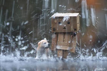 Hosted by imgur.com Una Fascinante colección de fotografía de Lluvia – Inspiración