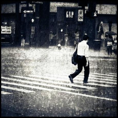 Una Fascinante colección de fotografía de Lluvia – Inspiración