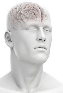 12 reglas básicas para ejercitar la mente y mejorar tus presentaciones 12 reglas básicas para ejercitar la mente y mejorar tus presentaciones