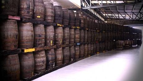 Conociendo las Barricas de Bacardi