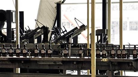 Conociendo las Barricas de Bacardi