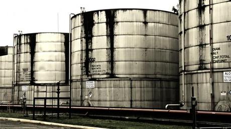 Conociendo las Barricas de Bacardi