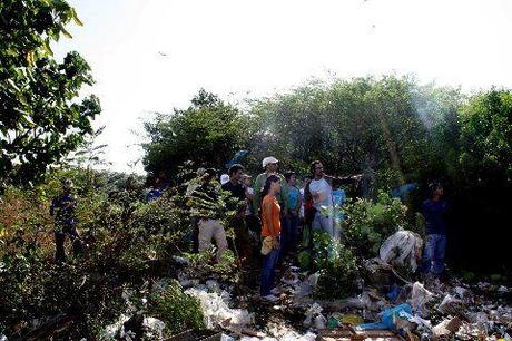 Qué son los Manglares? y el Parque Tierra de Sueño en Maracaibo Qué son los Manglares? y el Parque Tierra de Sueño en Maracaibo