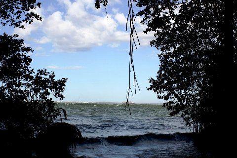 Qué son los Manglares? y el Parque Tierra de Sueño en Maracaibo