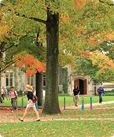 Princeton defiende los derechos de publicación de sus investigadores