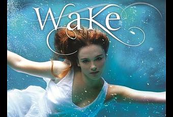 wake amanda hocking summary wake amanda hocking summary
