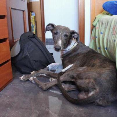 Foto: Soy especialista en dormir en los lugares mas estrechos, aqui en la habitación de Africa :D