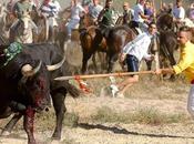 Patronato Toro Vega invita antitaurinos lanceados lugar toro