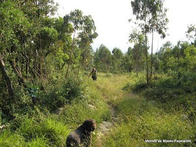 Montes de Mijedo 237m, Noja (Cantabria) 27-7-12
