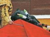 Garrido firma destacado (crónica semifinal Certamen Internacional Escuelas Taurinas Malagueta”)