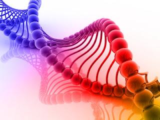 El genoma humano del ADN de más de un siglo