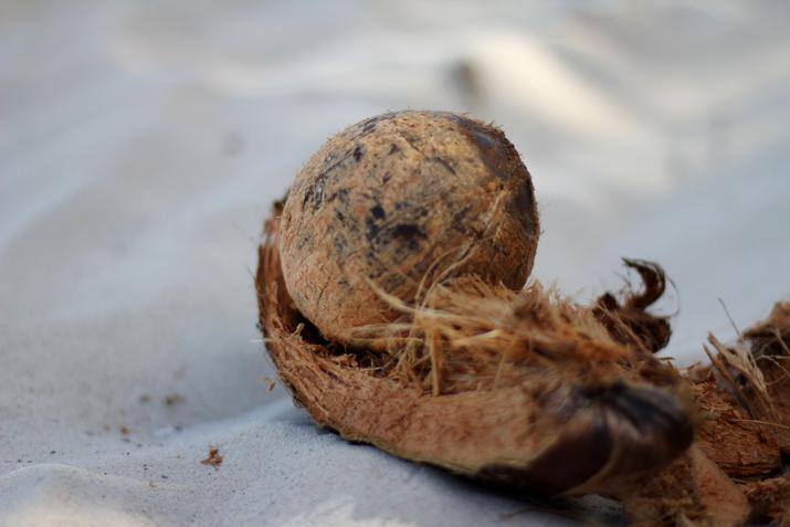 Could you open this coco for me, please?