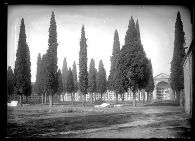 CEMENTERIO DE SAN MARTÍN/ ESTADIO VALLEHERMOSO (Madrid)