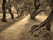 Memorias 1838 (VII parte)