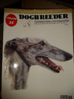 cajita petsecret julio