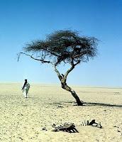 La globalizacion nos empobrece y perdemos diversidad