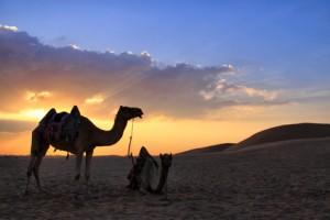 El largo proceso de revueltas en Siria