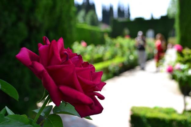 Detalles de la Alhambra de Granada