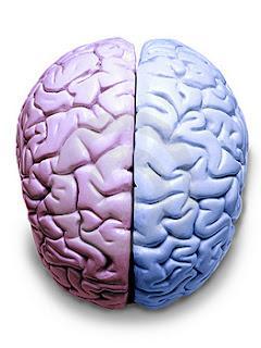 5 ejercicios para nivelar el cerebro lógico y el creativo. Hemisferios cerebrales 5 ejercicios para nivelar el cerebro lógico y el creativo. Hemisferios cerebrales