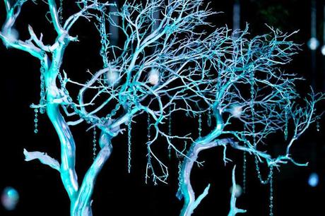 Doe Deere y una editorial de ensueño