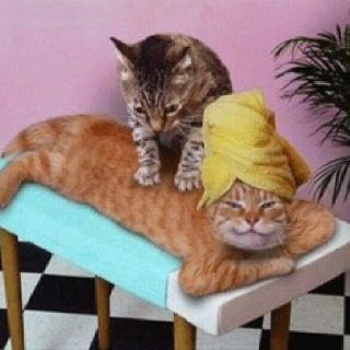 Relaxing Day: Massage