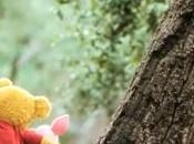 Salvar Osito Peluche: Winnie Pooh vs.Ted