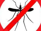 Repelentes Mosquitos Plantas