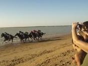 hipódromo salado Sanlúcar Barrameda (Cádiz)