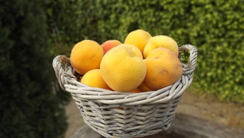 Mi marido me es infiel con un gitano