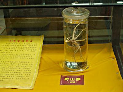 Té y medicina tradicional. Hangzhou (II)