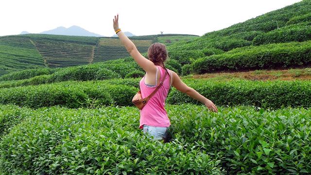 Té y medicina tradicional. Hangzhou (II)