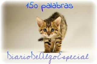 150 palabras: Dragos (mecedora, gato, pesadilla)