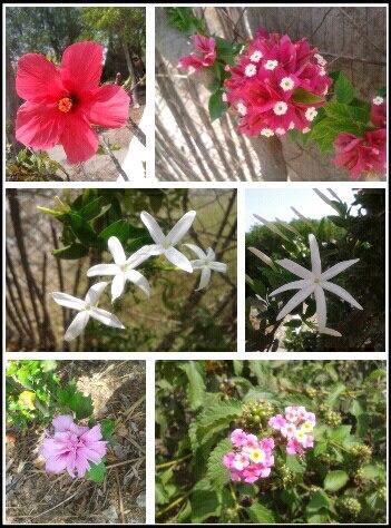 En Almería con la familia