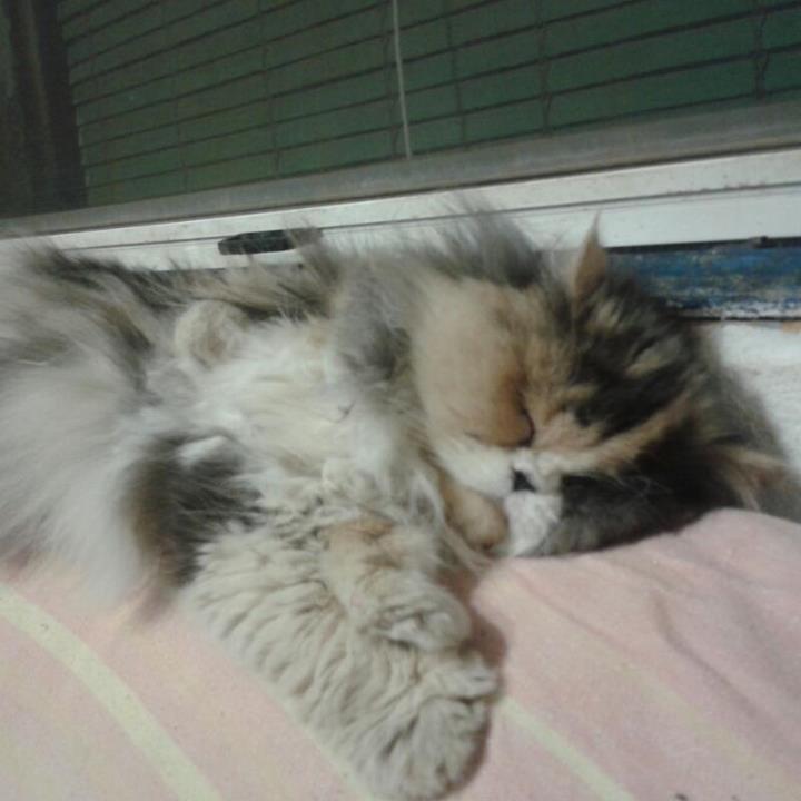 En Almería con la familia