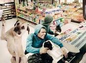 Amicicani: amor perruno