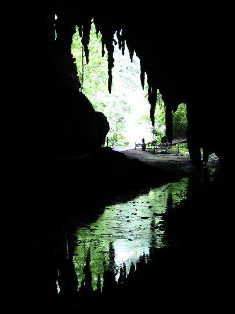 cueva-del-guacharo-cave-1 La Cueva del Guácharo, cerca de Caripe en el estado Monagas es el sitio donde fueron descubiertos y nombrados por primera vez, pero estas aves habitan desde Panamá y Trinidad hasta Ecuador, Perú, Bolívia y Brasil