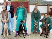 reportaje sobre terapia galgos Luis, distinguido Premios Periodismo Mariano Mazo