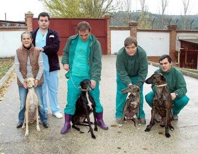 Foto: Un reportaje sobre la terapia con galgos del San Luis, distinguido en los XVI Premios de Periodismo Mariano del Mazo    - El reportaje “Los Galgos del San Luis”, de la periodista Beatriz Álvarez, fue emitido por la Cadena SER en el programa Hoy por hoy de Carles Francino el pasado mes de octubre 2011.   - La terapia asistida con galgos es una terapia pionera desarrollada en el CH San Luis que mejora la autoestima, la confianza y la autonomía de los pacientes con enfermedad mental.   - El Complejo Hospitalario San Luis de Palencia es una institución privada sin ánimo de lucro, perteneciente a la Congregación de las Hermanas Hospitalarias, que desarrolla su actividad en Palencia desde el año 1889.   Palencia, julio de 2012.- El reportaje sobre la terapia de galgos del CH San Luis de Palencia, realizado por la periodista de la Cadena SER Beatriz Álvarez, ha sido galardonado en los XVI Premios de Periodista Mariano del Mazo, que anualmente otorga la Diputación de Palencia en reconocimiento a los mejores trabajos periodísticos del año.   El reportaje “Los Galgos del San Luis” explica, a través del testimonio de pacientes y personal médico, los beneficios de la terapia asistida con galgos que desde hace año y medio se lleva a cabo en el Complejo Hospitalario San Luis de Palencia, y que mejora la autoestima, la confianza y la autonomía de los pacientes con enfermedad mental.   El CH San Luis quiere destacar el papel fundamental de periodistas y medios de comunicación en la defensa de los derechos de los colectivos más excluidos socialmente, y su sensibilidad a la hora de difundir los esfuerzos de las personas que luchan por su integración en la sociedad.   Acerca del Complejo Hospitalario San Luis de Palencia   El Complejo Hospitalario San Luis, fundado por San Benito Menni, pertenece a la Congregación de Hermanas Hospitalarias del Sagrado Corazón de Jesús. Desde 1889 atiende a personas con enfermedad mental, personas con discapacidad física y psíquica y personas mayores dependientes. En su sede en Palencia conviven diariamente cerca de mil personas entre pacientes, residentes y personal asistencial.  Por si quereis saber mas del programa http://www.elmundo.es/elmundo/2011/12/06/castillayleon/1323174034.html