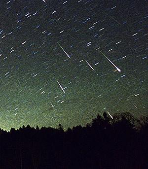 Cuadros, tauromaquia y perséidas