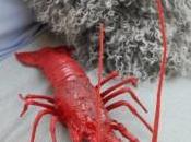 Cambios reales conducta…