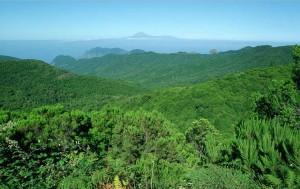 Lágrimas de fuego, una pequeña se quema