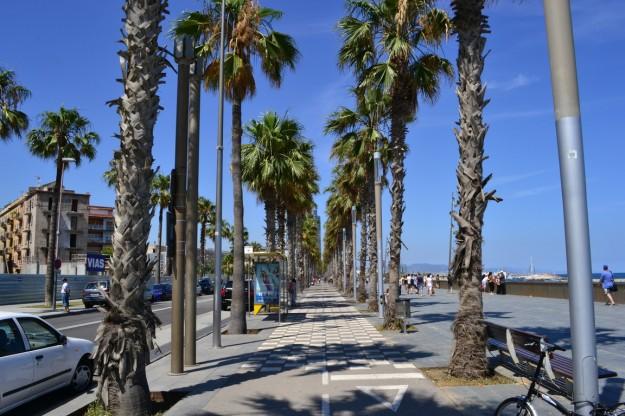 Playa de la Barceloneta