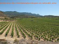 Rioja, tierra de vinos...