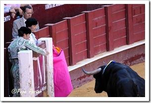 “Desde el tendido 6”. Corrida de toros (13/8/12)