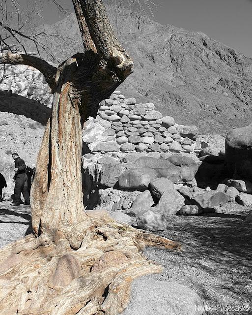 Mendoza: Circuito de Alta Montaña (2da. parte)