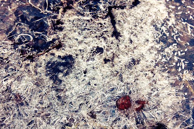 Mendoza: Circuito de Alta Montaña (2da. parte)