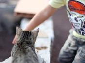 Miércoles Mudo: Nuevos Amigos