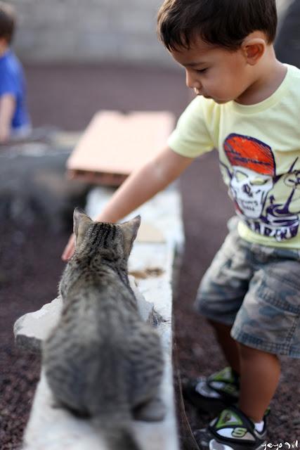 Miércoles Mudo: Nuevos Amigos