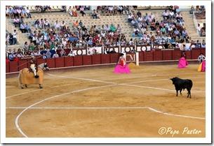 “Desde el tendido 6”. Corrida de toros (14/8/12)